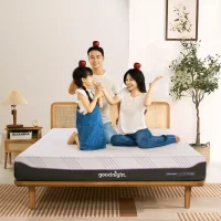 Nệm foam công nghệ Đức Goodnight Active Hybrid dày 20cm