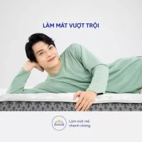 Nệm lò xo Amando Faro 5 vùng giảm đau lưng dày 35cm