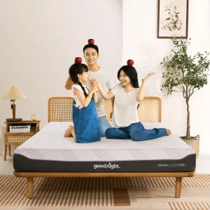 Nệm foam công nghệ Đức Goodnight Active Hybrid dày 20cm